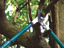 MaxForce Dual Lever Telescopic Bypass Lopper ML49 (overall: 630-950mm)