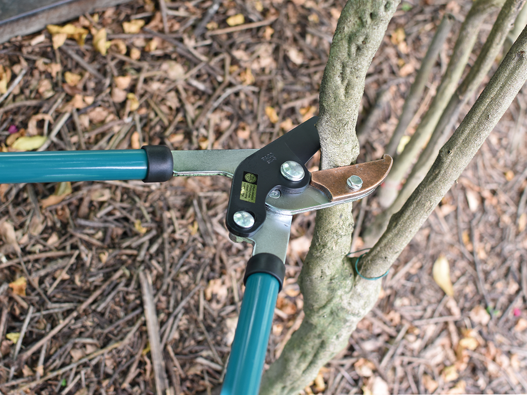 MaxForce Dual Lever Telescopic Anvil Lopper ML75 (overall: 630-950mm)