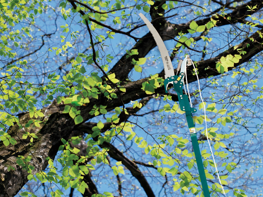 High Tree Pruner HTP12