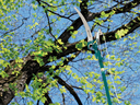 High Tree Pruner HTP12