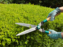 Garden Hedge Shears