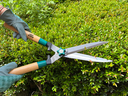 Garden Hedge Shears