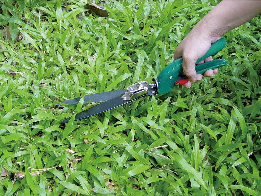 Swivel Blade Grass Shears