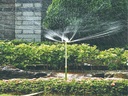 HI-RISE ROTATING SPRINKLER