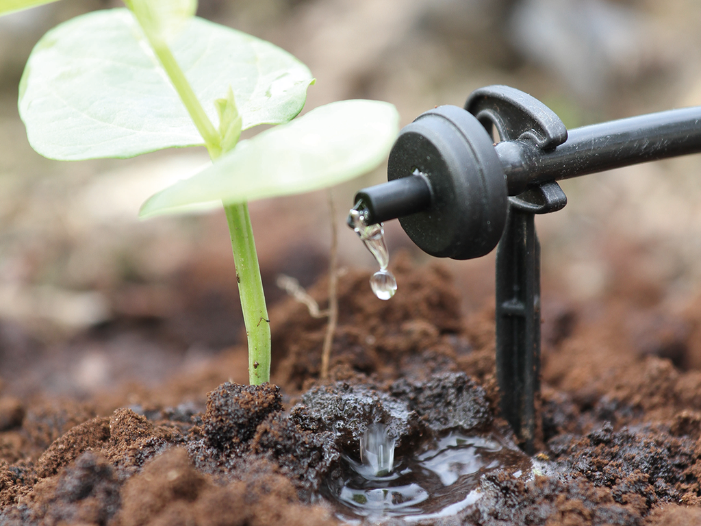 PRESSURE COMPENSATING ENDLINE DRIPPERS , 4 L/H