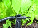 ADJUSTABLE ENDLINE DRIPPERS 6" SPIKE , 0-5 L/H