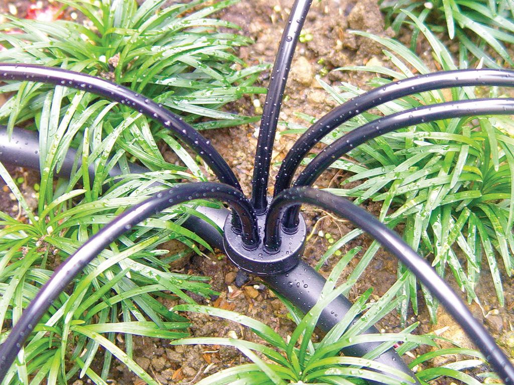 6-OUTLET MANIFOLD , with 4mm Inlet