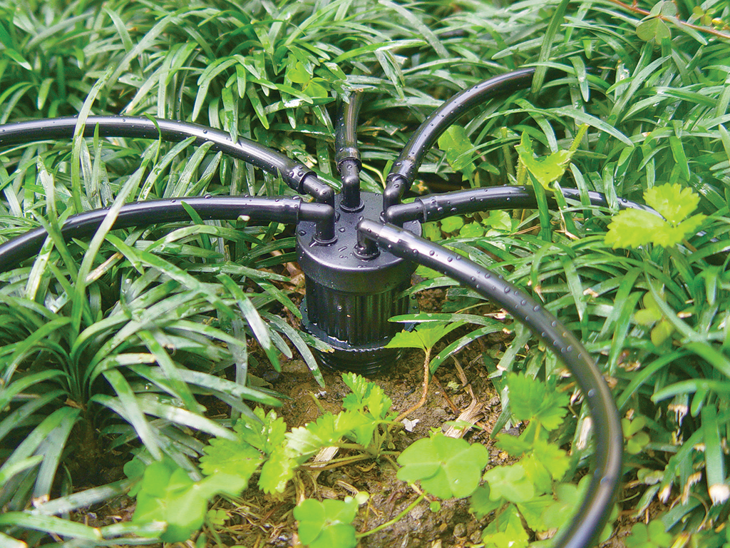 ADJUSTABLE 6-OUTLET MANIFOLD , with 1/2" F-Threaded Riser Inlet