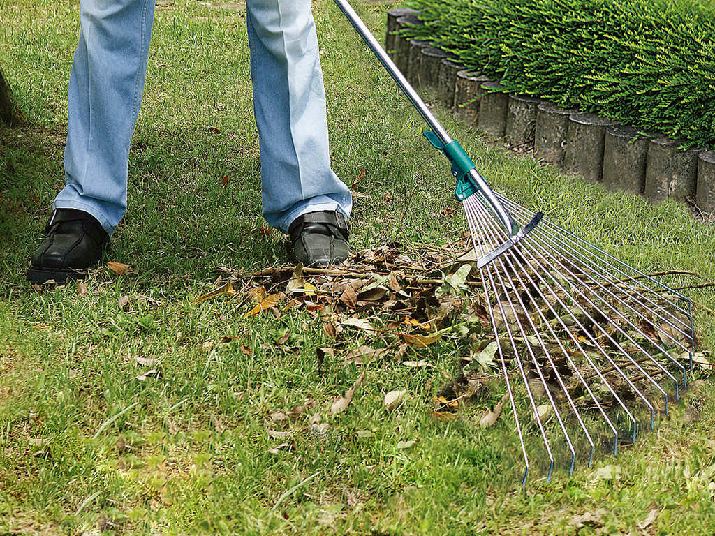 Adjustable Spring-Wire Rake LK44