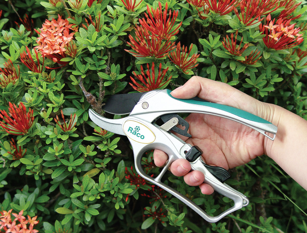 RACO RATCHET SECATEURS MS50
