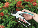 RACO RATCHET SECATEURS MS50
