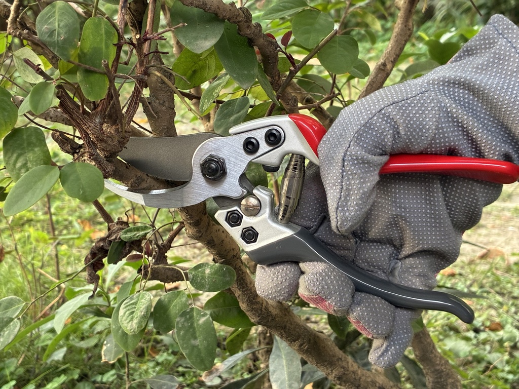 PRO-CUT FORGED BYPASS SECATEURS PS1