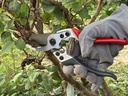 PRO-CUT FORGED BYPASS SECATEURS PS1
