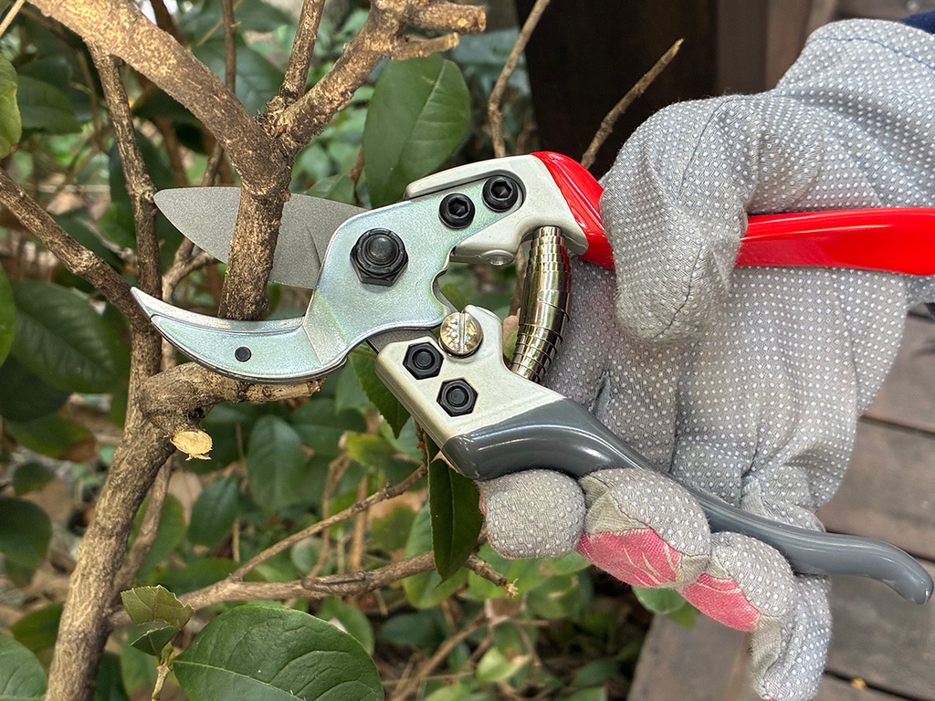 PRO-CUT FORGED ANVIL SECATEURS PS2