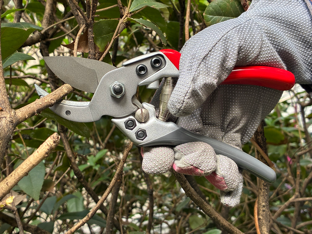PRO-CUT ANVIL SECATEURS PS22