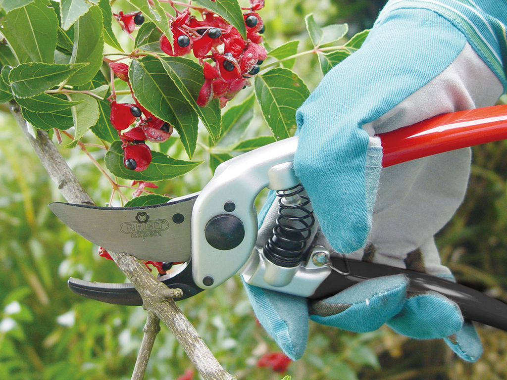 PRO-CUT FORGED BYPASS SECATEURS PS12