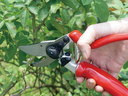 PRO-CUT FORGED ROLLGRIP SECATEURS PS10