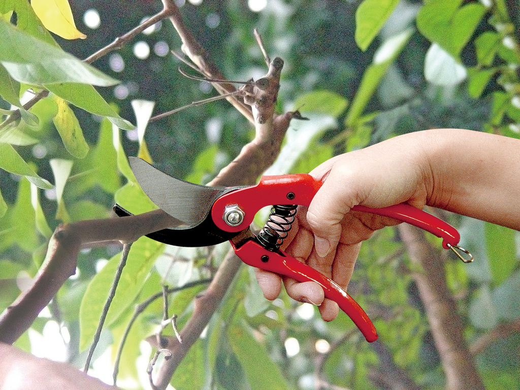 PRO-CUT SECATEURS PS126