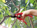 PRO-CUT SECATEURS PS125