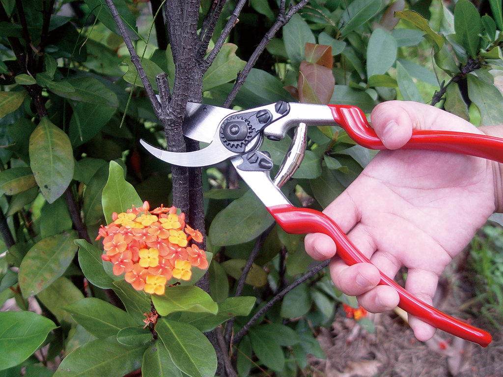 PRO-CUT TWO-HANDS FORGED SECATEURS PS51