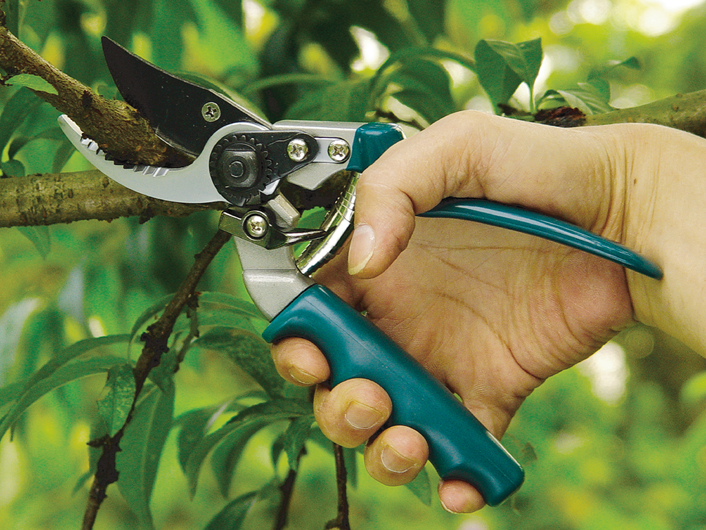 RACO MAX-FORCE REVOLVING SECATEURS MS43