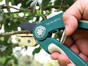 RACO HEAVY DUTY ANVIL SECATEURS