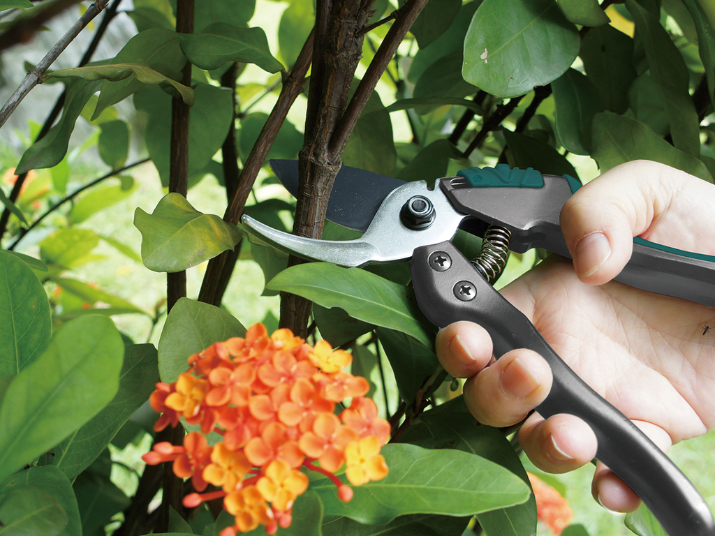 RACO CARBON+ BYPASS SECATEURS HS2