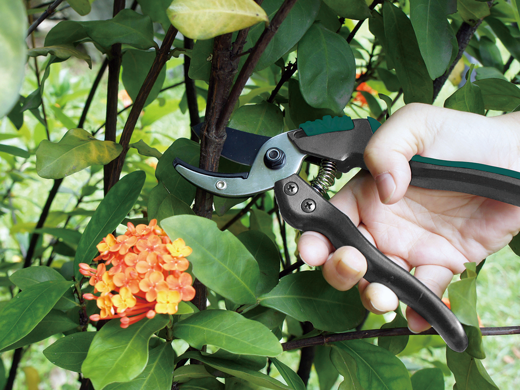RACO CARBON+ ANVIL SECATEURS HS3