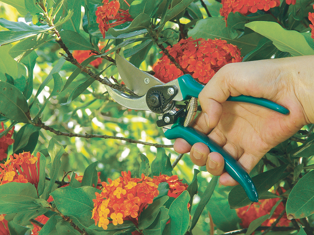RACO ALUMINIUM PRUNING SHEAR