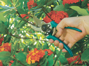 RACO ALUMINIUM PRUNING SHEAR