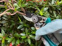 RACO ALUMINIUM POCKET SECATEURS